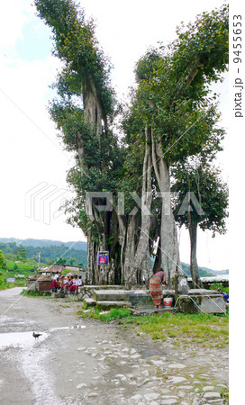 Annapurna trekking 9455653