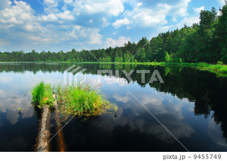 Lake in the forest 9455749