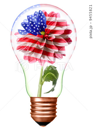 Consolidation Consolidation 9455821