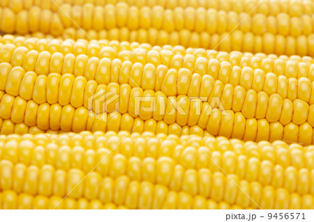 background of ripe yellow corn 9456571