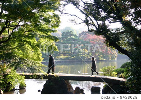 秋の六義園 秋の六義園 9458028