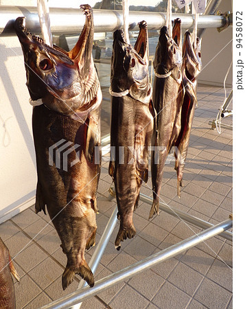 新巻鮭の寒干し 9458072