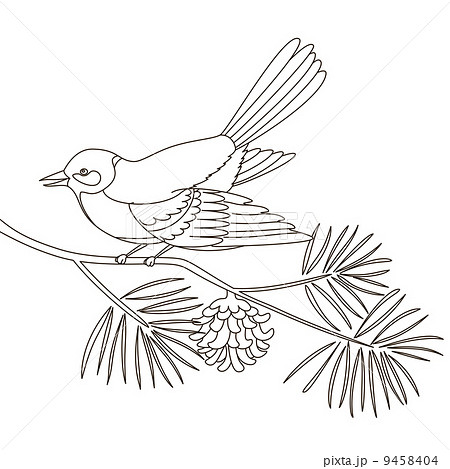 Titmouse on a pine branch Titmouse on a pine branch 9458404