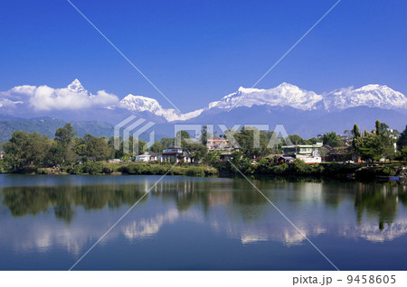 フェワ湖に映るヒマラヤ連峰 フェワ湖に映るヒマラヤ連峰 9458605
