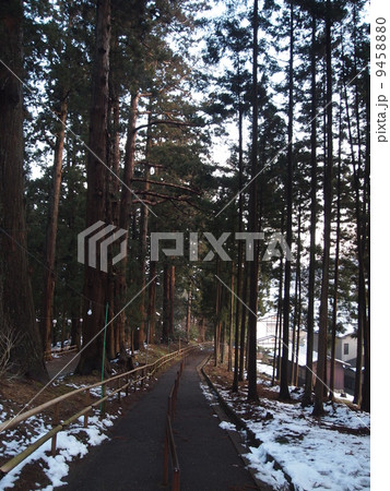 冬の月見坂 9458880