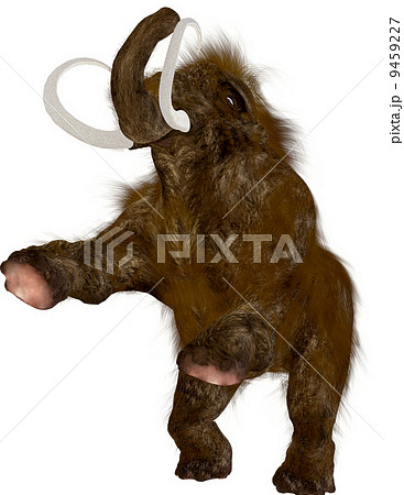 マンモス 9459227