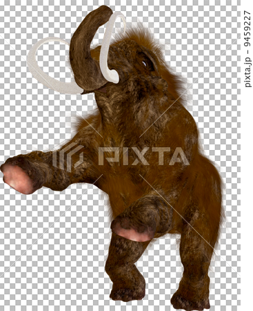 マンモス 9459227