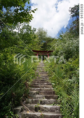 自在神社 9459369