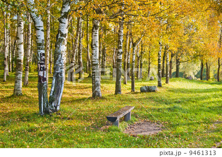 Autumn landscape 9461313