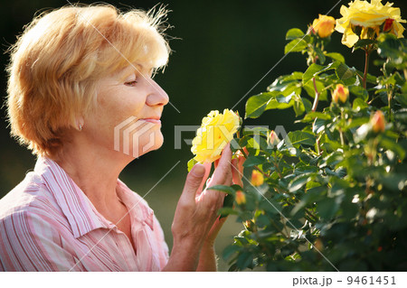 Expression. Senior Woman Model with Garden Roses. Springtime Expression. Senior Woman Model with Garden Roses. Springtime 9461451