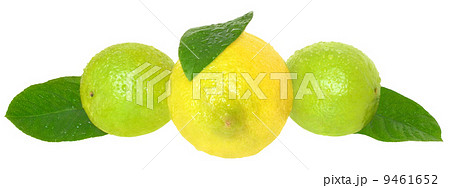 Fresh limes and lemons. Fresh limes and lemons. 9461652