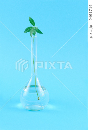 biotechnology biotechnology 9461716