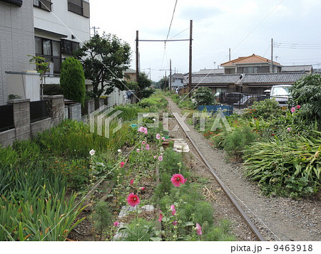 廃線跡に造られた花壇 9463918