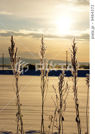 白銀の世界 9464372