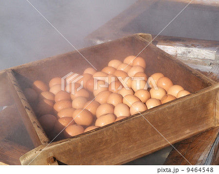 地獄蒸し玉子 9464548