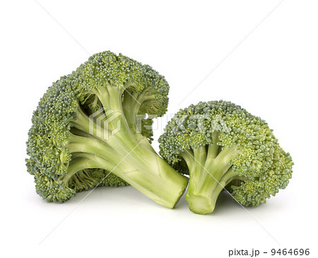 Broccoli vegetable Broccoli vegetable 9464696