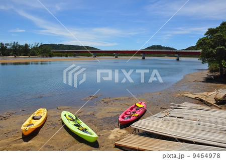 西表島　浦内橋 9464978