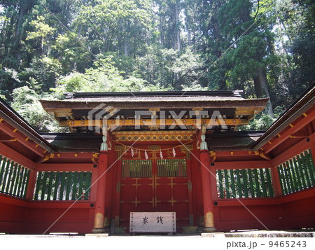 鳳来山東照宮 鳳来山東照宮 9465243