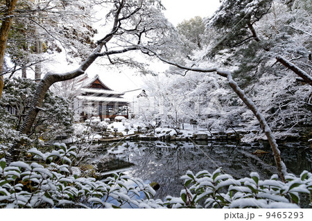 天授庵の池泉回遊式庭園 9465293