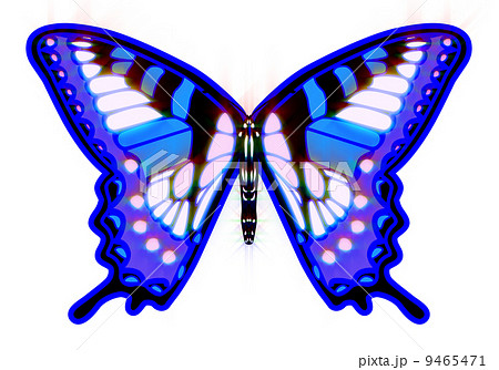 蝶 輝き付き のイラスト素材