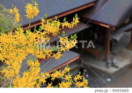 山寺 山寺 9465660
