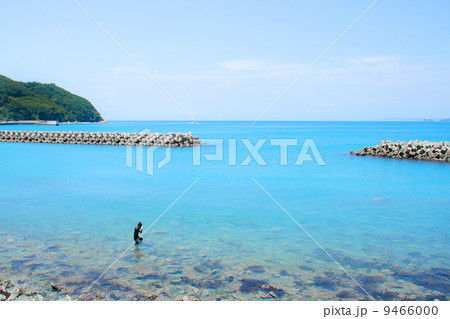 湾内でのダイバー 湾内でのダイバー 9466000