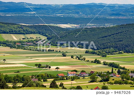 Fileds Fileds 9467026