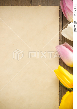 tulip flowers on wood tulip flowers on wood 9467150