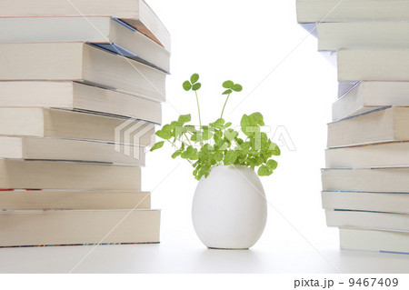植物と本の環境イメージ 9467409