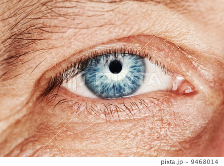 Picture of a human eye 9468014
