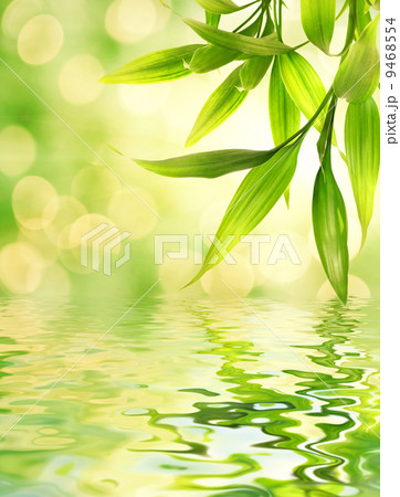 Bamboo leaves reflected in rendered water 9468554