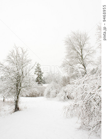 Winter landscape Winter landscape 9468955