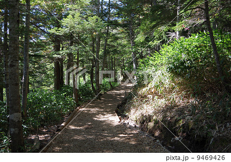 御嶽山（登山道） 9469426