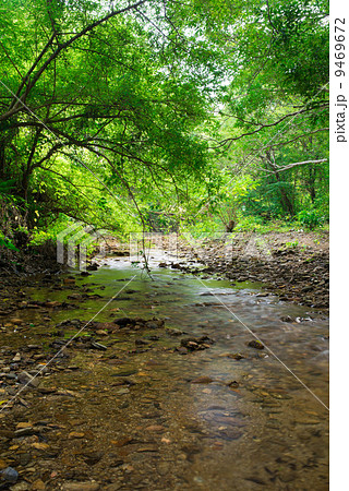やんばるの清流(比地川) やんばるの清流(比地川) 9469672