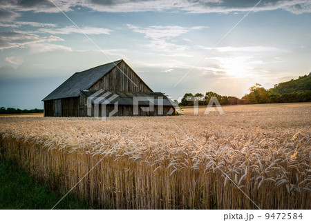 abandoned shack in the field 9472584