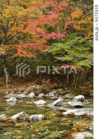 小田深山の紅葉 小田深山の紅葉 9472639