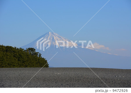 三保の松原と富士山 三保の松原と富士山 9472926