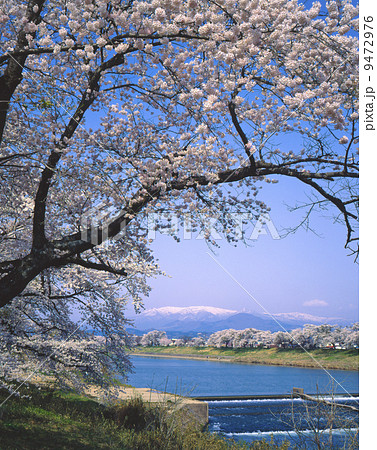 一目千本桜 一目千本桜 9472976