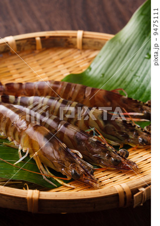 車エビ 車エビ 9475111