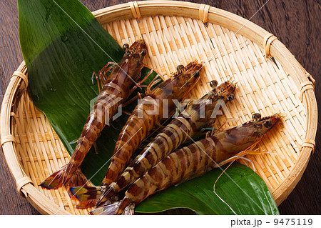 車エビ　 9475119