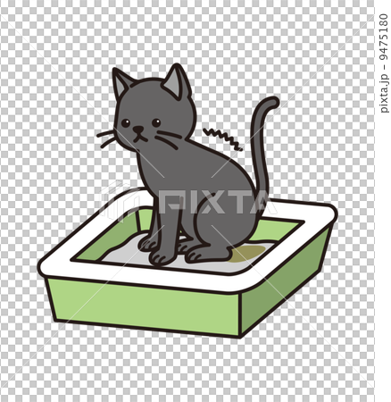 猫とトイレ 9475180