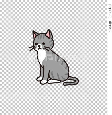 Cat  9475181