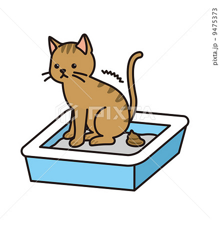 猫とうんち 猫とうんち 9475373