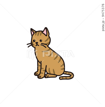 トラ猫 トラ猫 9475376