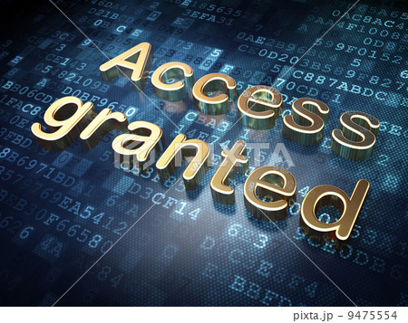 Security concept: Golden Access Granted on digital background 9475554