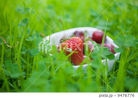 Cherries and strawberry in a ceramic bowl on green grass Cherries and strawberry in a ceramic bowl on green grass 9476776
