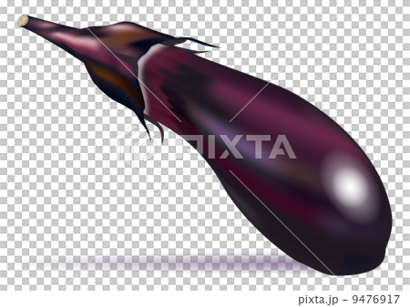 茄子_01 映込 影付 9476917