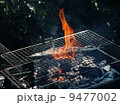 秋刀魚 9477002