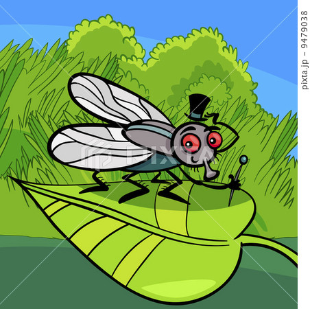 housefly insect cartoon illustration housefly insect cartoon illustration 9479038