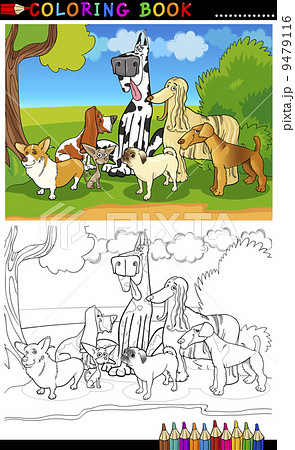 purebred dogs cartoon for coloring book purebred dogs cartoon for coloring book 9479116